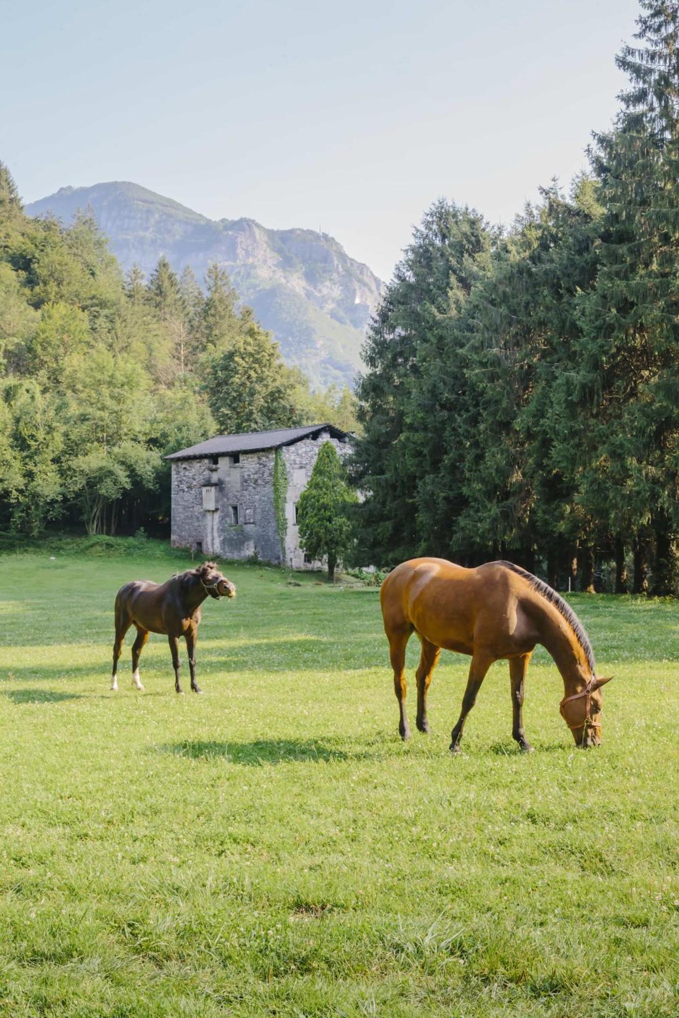 Agriturismo Ferdy Villa Lenna Exterior foto
